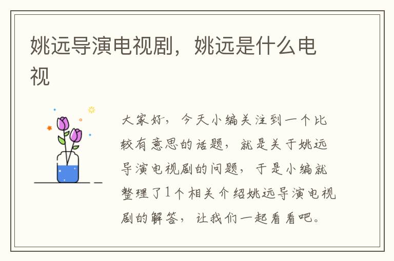 姚远导演电视剧，姚远是什么电视