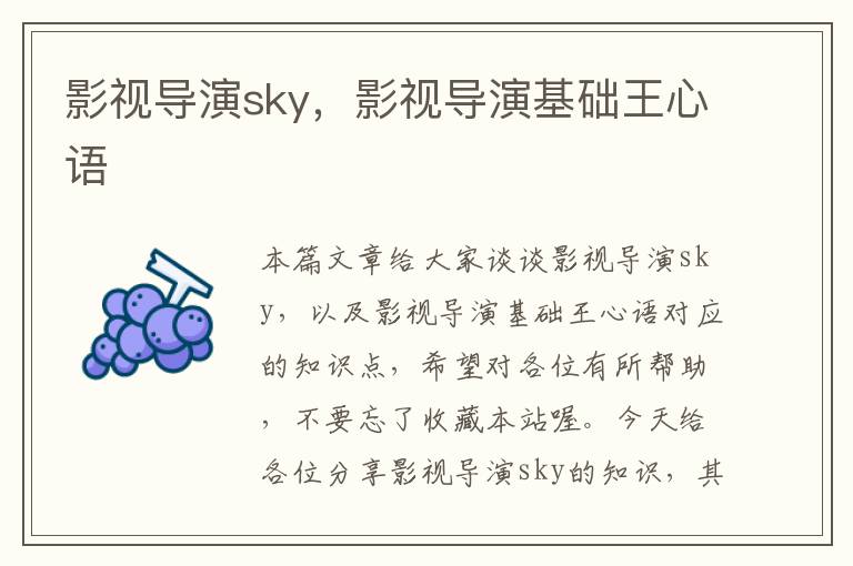 影视导演sky，影视导演基础王心语