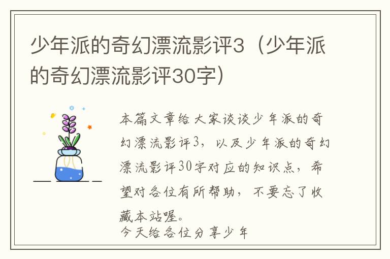 少年派的奇幻漂流影评3（少年派的奇幻漂流影评30字）