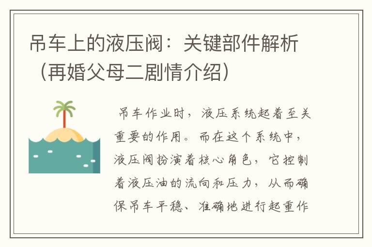 吊车上的液压阀：关键部件解析（再婚父母二剧情介绍）